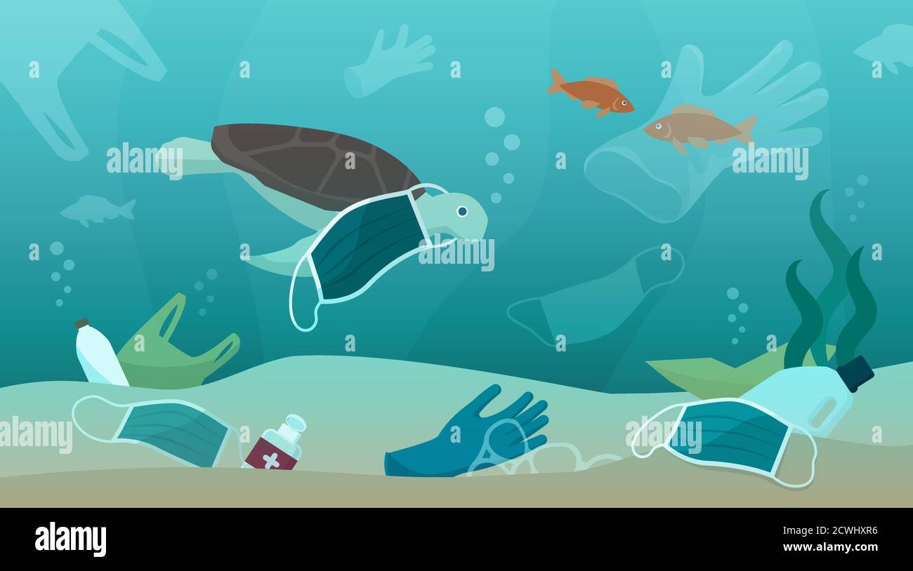 Sea animals water pollution hi-res stock photography and images - Alamy Sea animals water pollution hi-res stock photography and images - Alamy