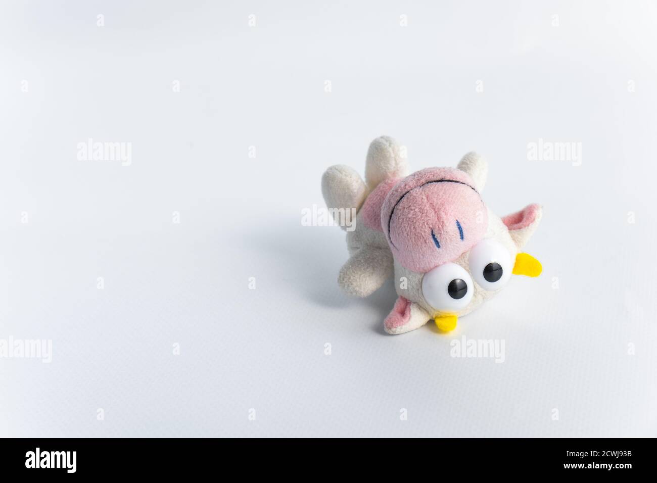 Cute toy for fun childrens games.Children's soft toy bull, on a white background. The symbol of the new 2021. Close-up. Space for text. Stock Photo