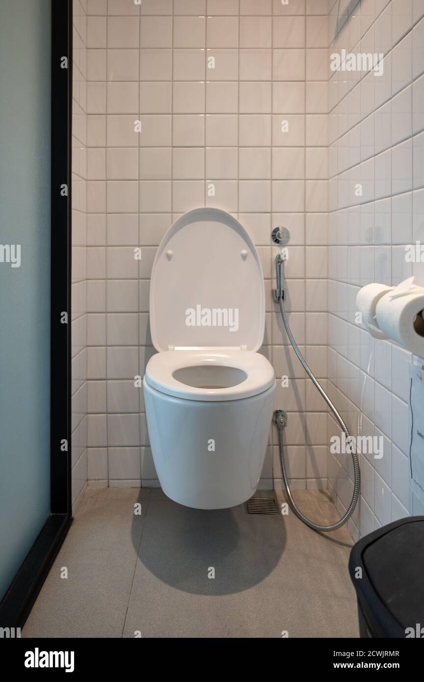Interior of modern toilet with bidet spray and tissue paper on ceramic