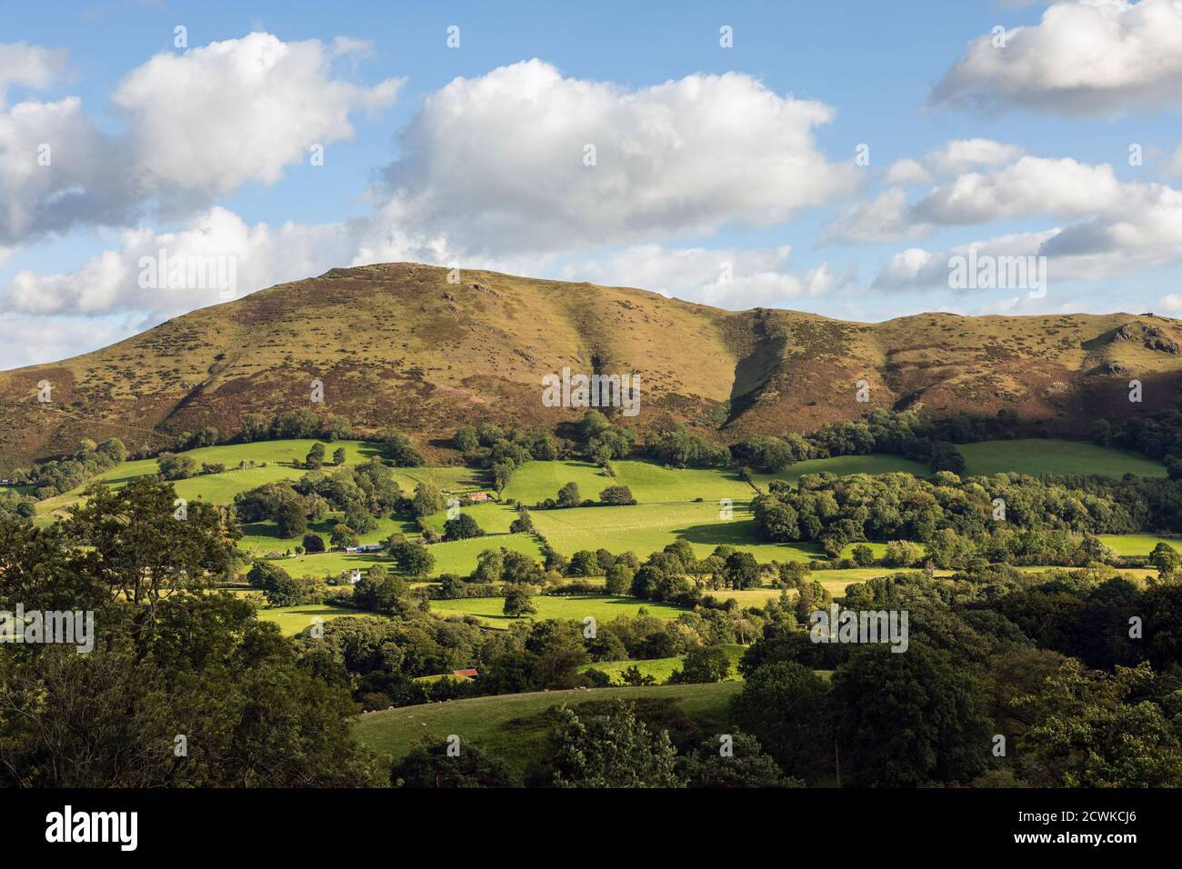 Caer Caradoc from Plush Hill, Shropshire Hills, near Church Stretton, Shropshire Stock Photo