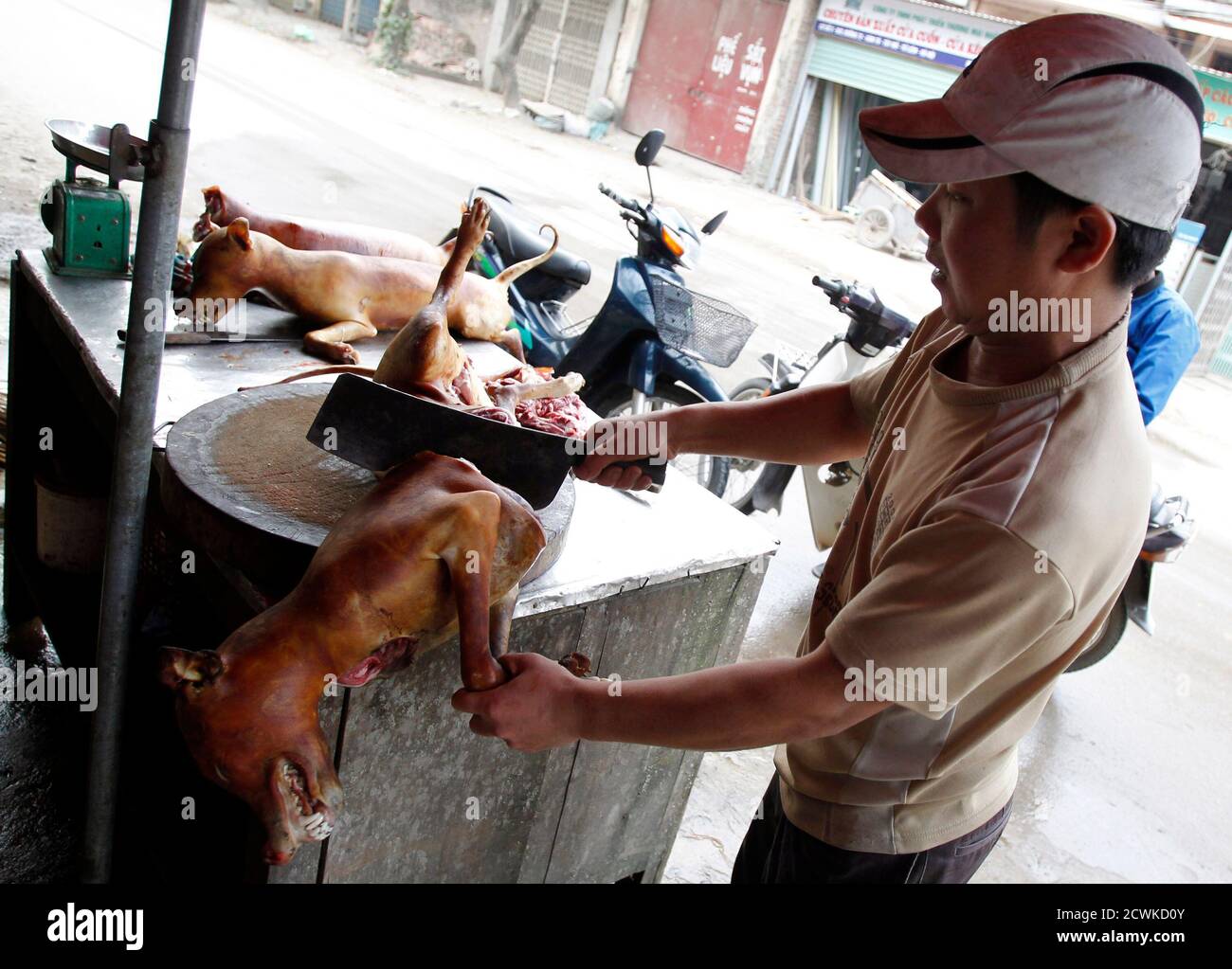 Vietnamese dongs hires stock photography and images Alamy