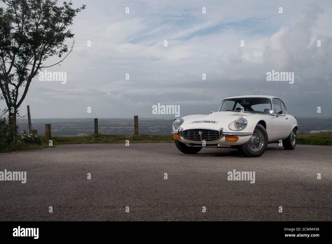 1974 Jaguar E-Type Group 44 Racing Car at the Goodwood Festival of