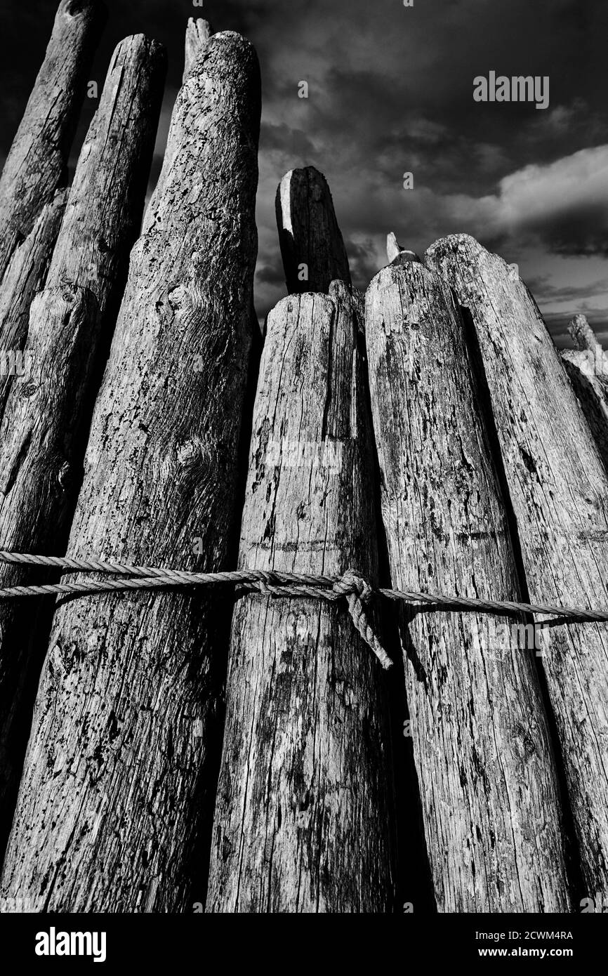 Collected driftwood weathered timbers stacked in black and white B/W Stock Photo