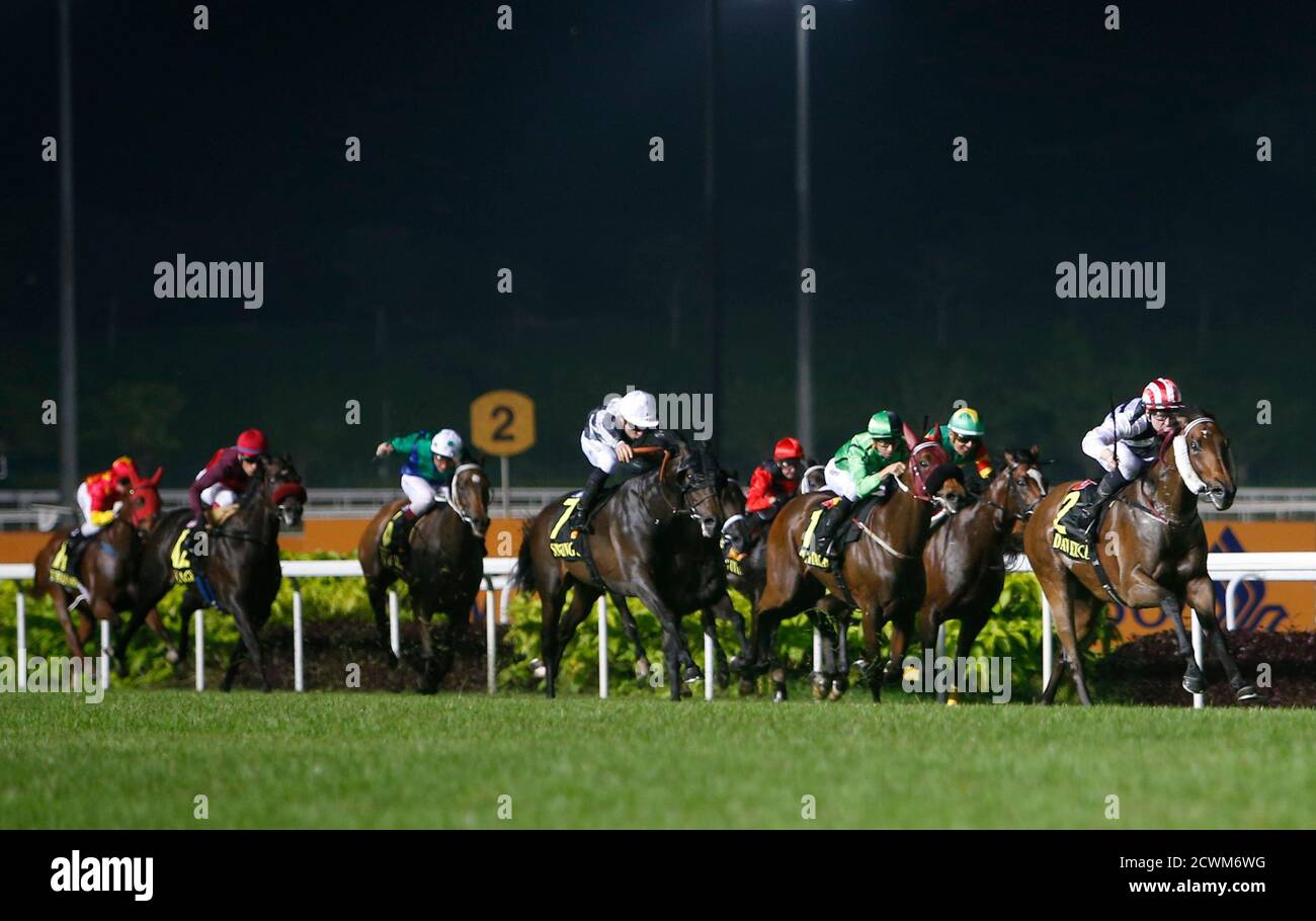 Tommy Dean Berry of Australia (R) riding Dan Excel breaks away from the pack as he races to victory during the Singapore Airlines International (SIA) Cup horse race at Singapore Turf Club May 18, 2014. REUTERS/Edgar Su (SINGAPORE - Tags: SPORT HORSE RACING) Stock Photo