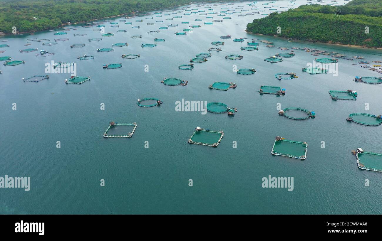 Fish farm with cages for fish and shrimp in the Philippines, Luzon