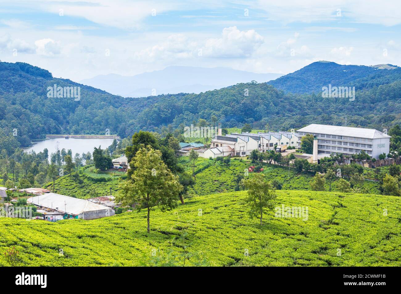 Sri Lanka, Nuwara Eliya, Heritance tea factory hotel Stock Photo
