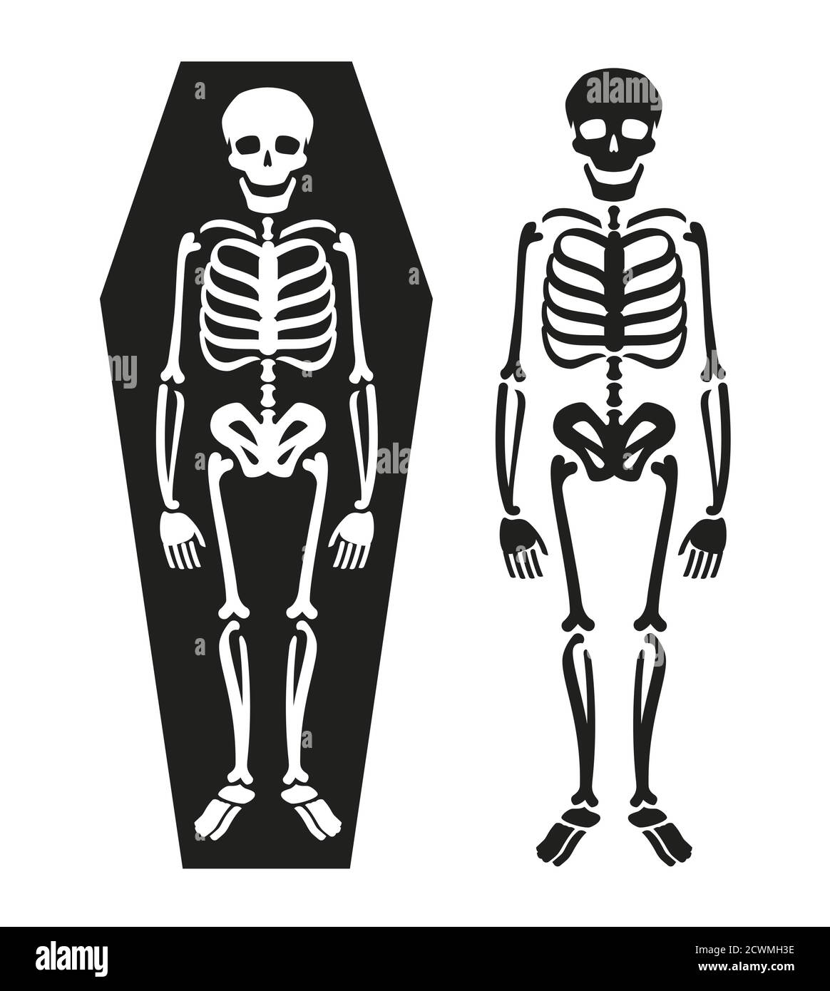 Skeleton in coffin. Death symbol vector illustration Stock Vector