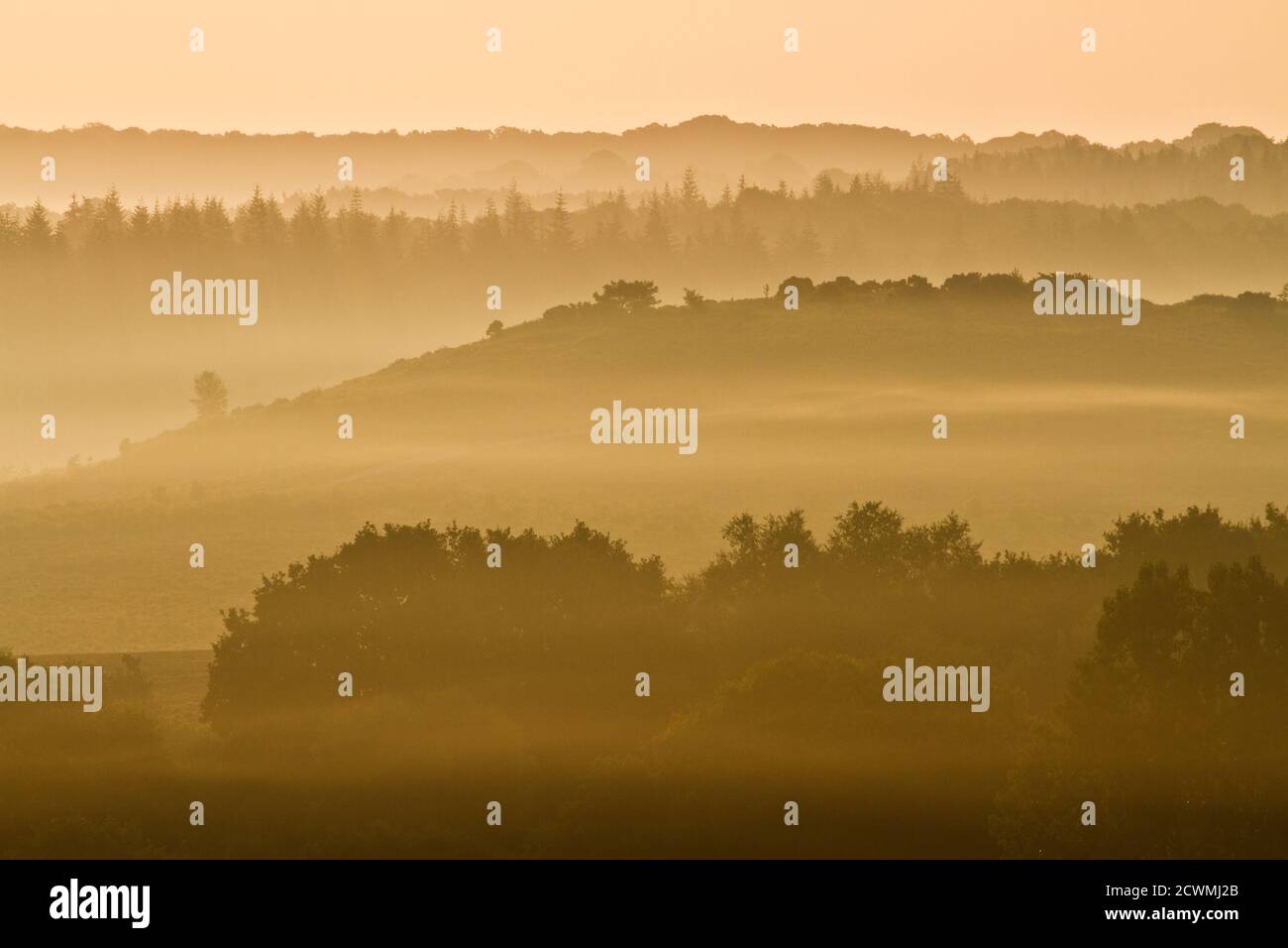 Dawn view across Latchmore Bottom from Dorridge Hill, The New Forest National Park, Hampshire, England, UK Stock Photo