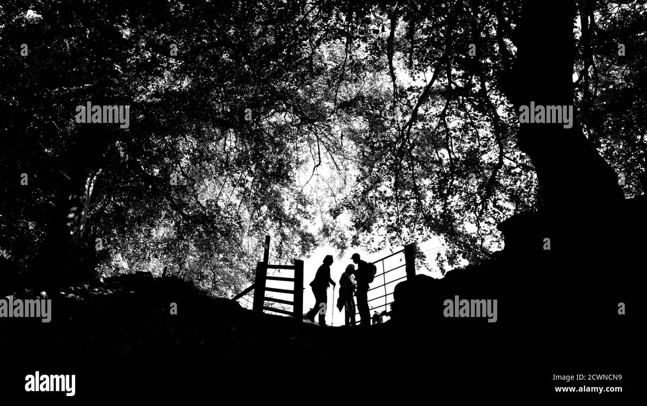 Three walkers pass through a metal gate flanked by trees and silhouetted against the sky. Stock Photo