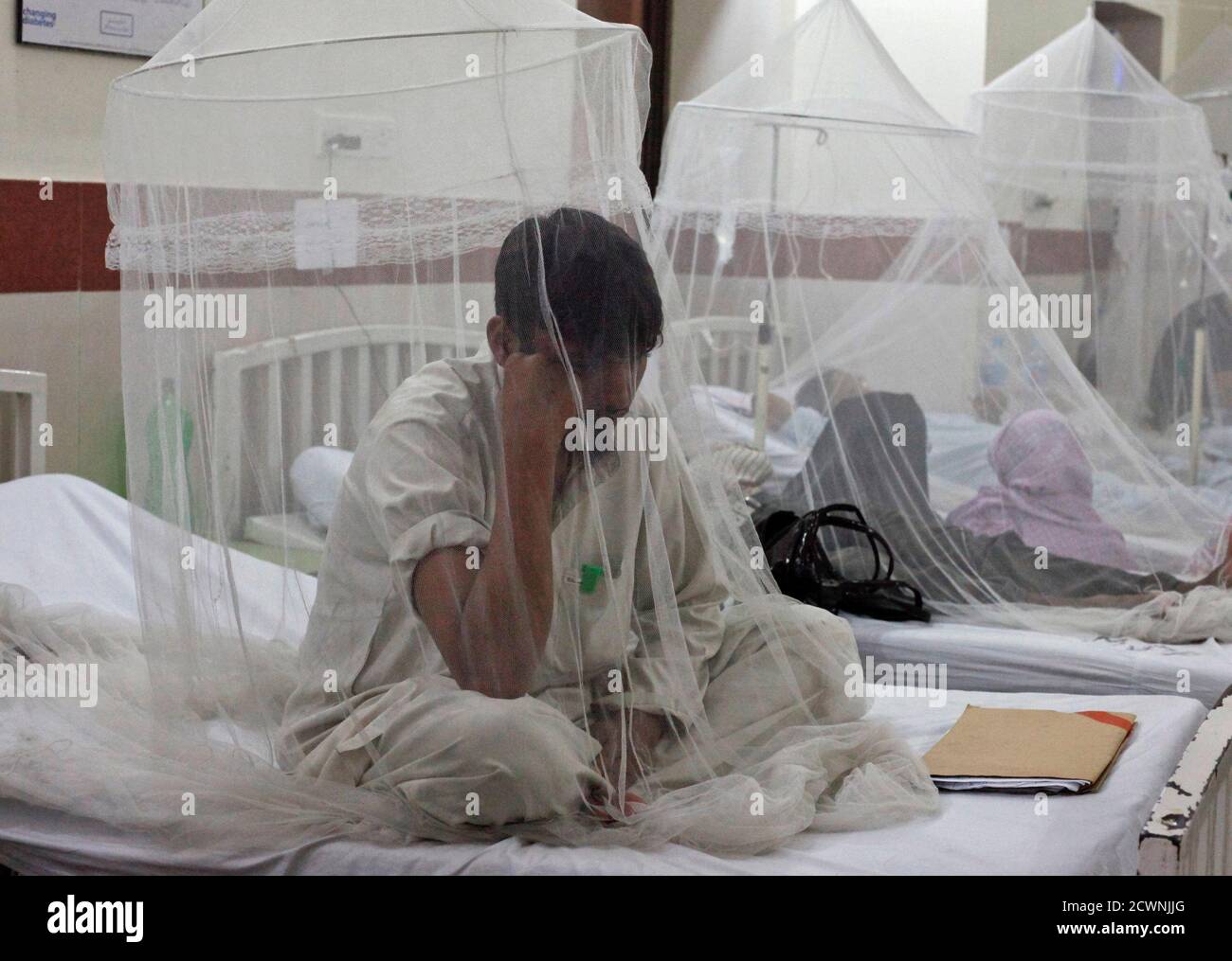 Mohammad Zubair A 25 Year Old Man Suffering From Dengue Fever Sits Under A Mosquito Net While Seeking Treatment At The Services Hospital In Lahore September 18 2011 Cities Across Pakistan Have Launched A This zealnet portable mosquito net is ridged and fully enclosed to provide an unsurpassed level of protection against mosquitoes, flies, bed bugs, fleas, and other biting & flying insects. alamy