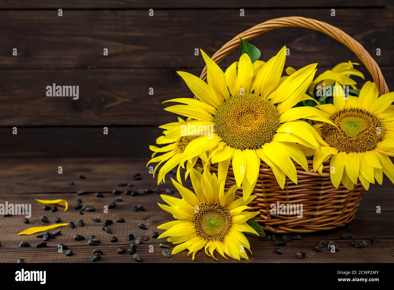 Wicker basket with beautiful yellow sunflowers and sunflower seeds on ...