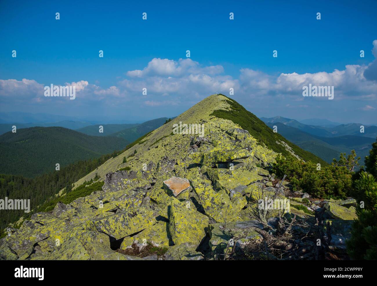 Syniak — high, with steep slopes the mountain in Gorgany. Height — 1665 m. It is located within Carpathian national natural park, in the Nadvornyansky Stock Photo