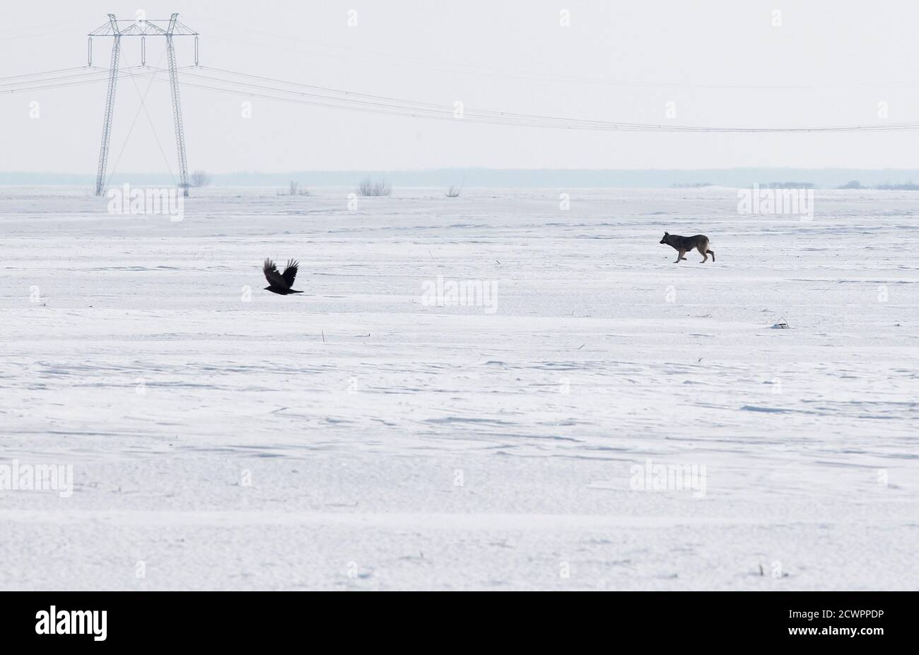 Abrupt Halt High Resolution Stock Photography And Images Alamy