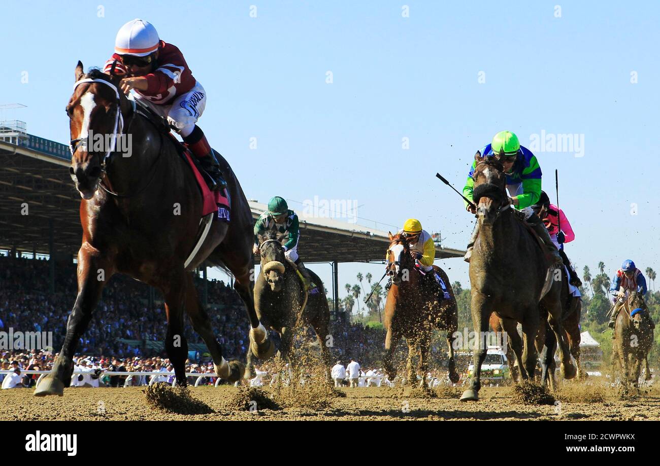 Tapizar 2012 Breeders' Cup Dirt Mile Photo   8" x 10" 