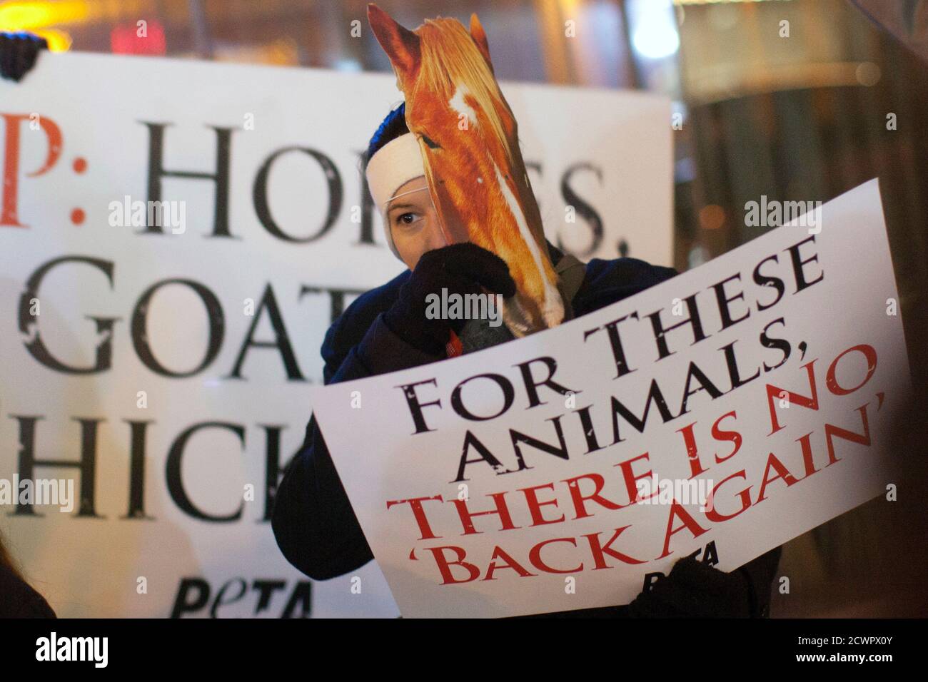 A demonstrator from the animal rights group PETA adjusts a horse mask at a protest at the premiere of the film 'The Hobbit: An Unexpected Journey' in New York December 6, 2012. The group claims that numerous animals suffered from fatal injuries during the production of the film. Director Peter Jackson has said some animals died on a farm where they were housed, but none had been hurt during filming.  REUTERS/Andrew Kelly (UNITED STATES - Tags: ENTERTAINMENT CIVIL UNREST ANIMALS) Stock Photo