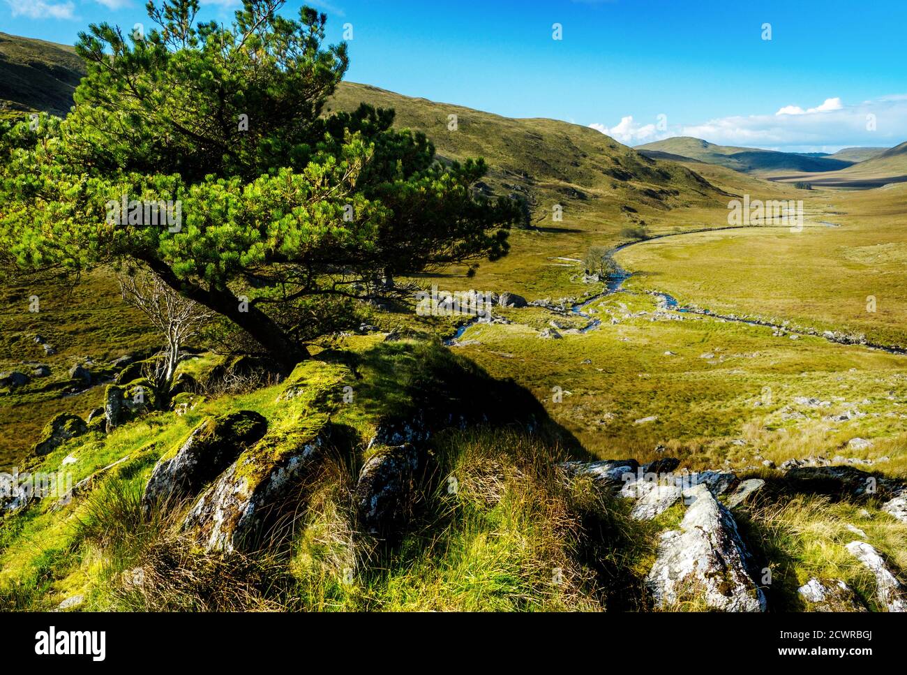 The valley of the Afon Hengwm below Plylimon in the Cambrian mountains