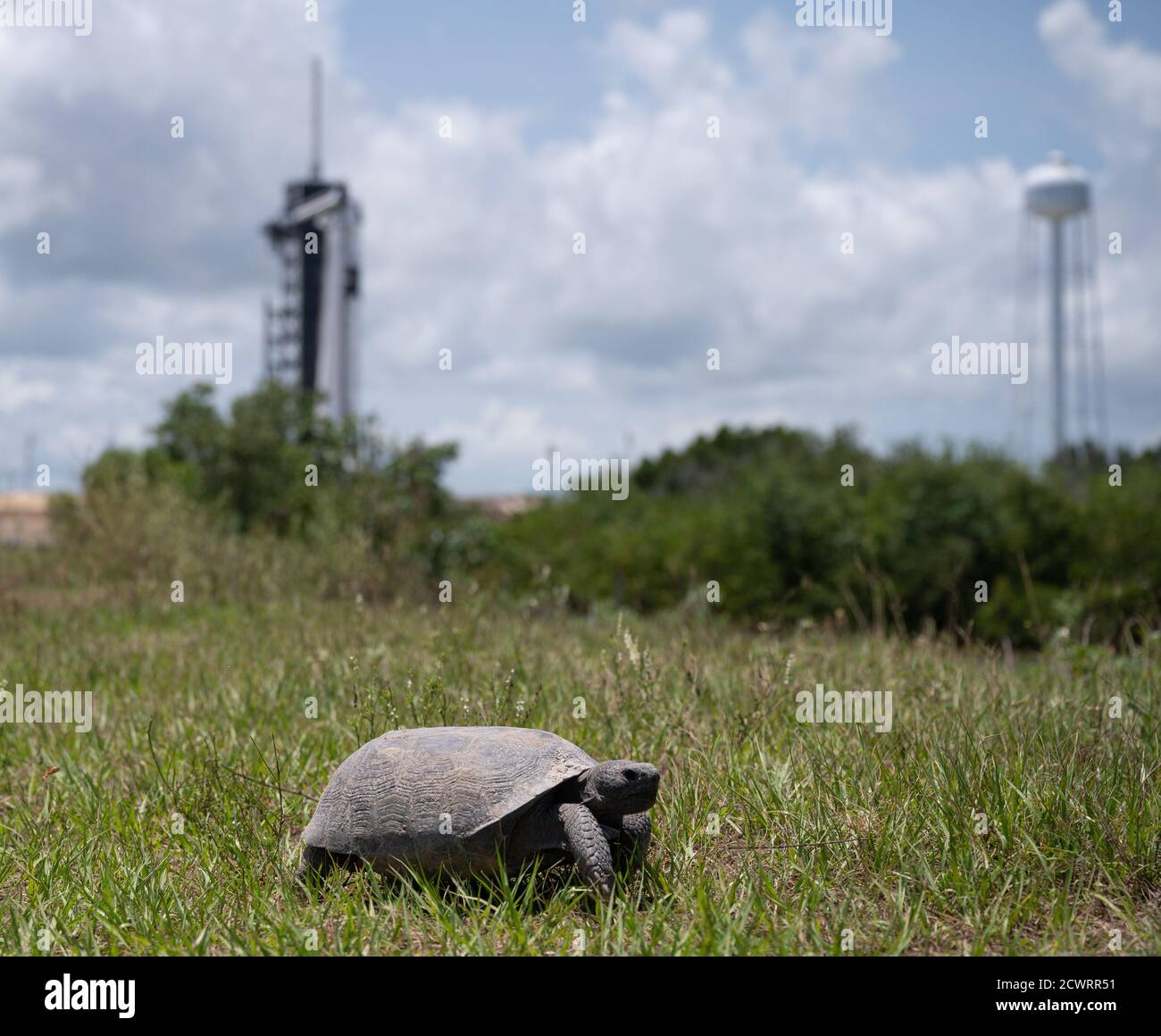 On May 29, 2020, preparations for the SpaceX Demo-2 mission continued ...