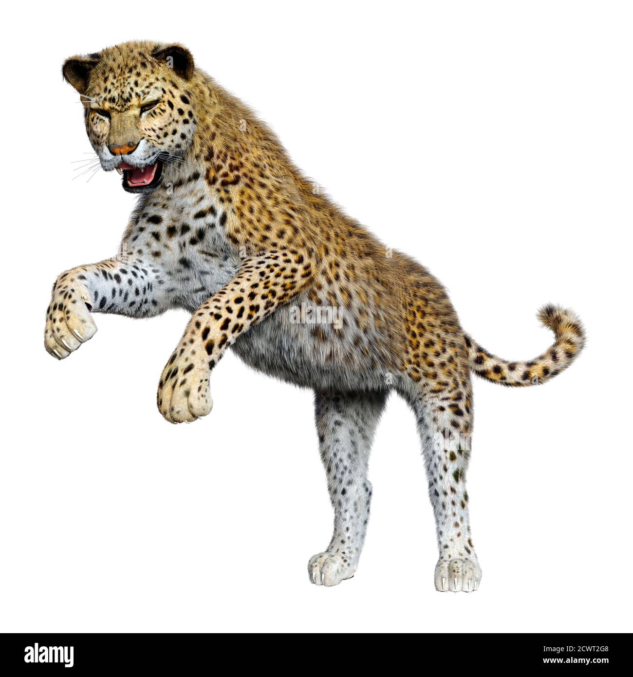 3D rendering of a big cat leopard isolated on white background Stock ...