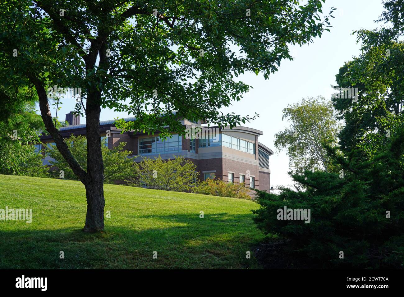 Jackson laboratory hires stock photography and images Alamy