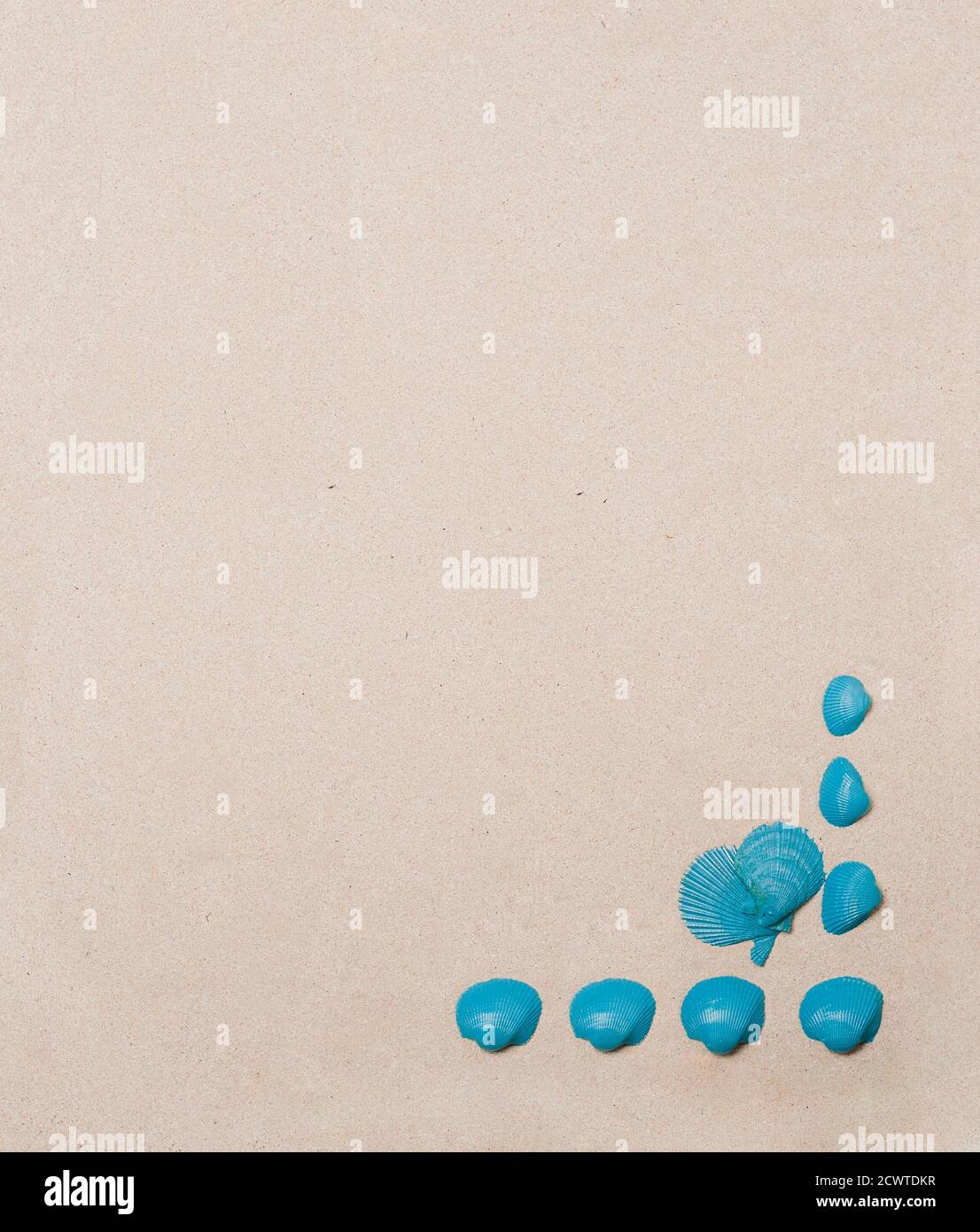 sea shells set, light blue color, on sandy beach background, top view ...