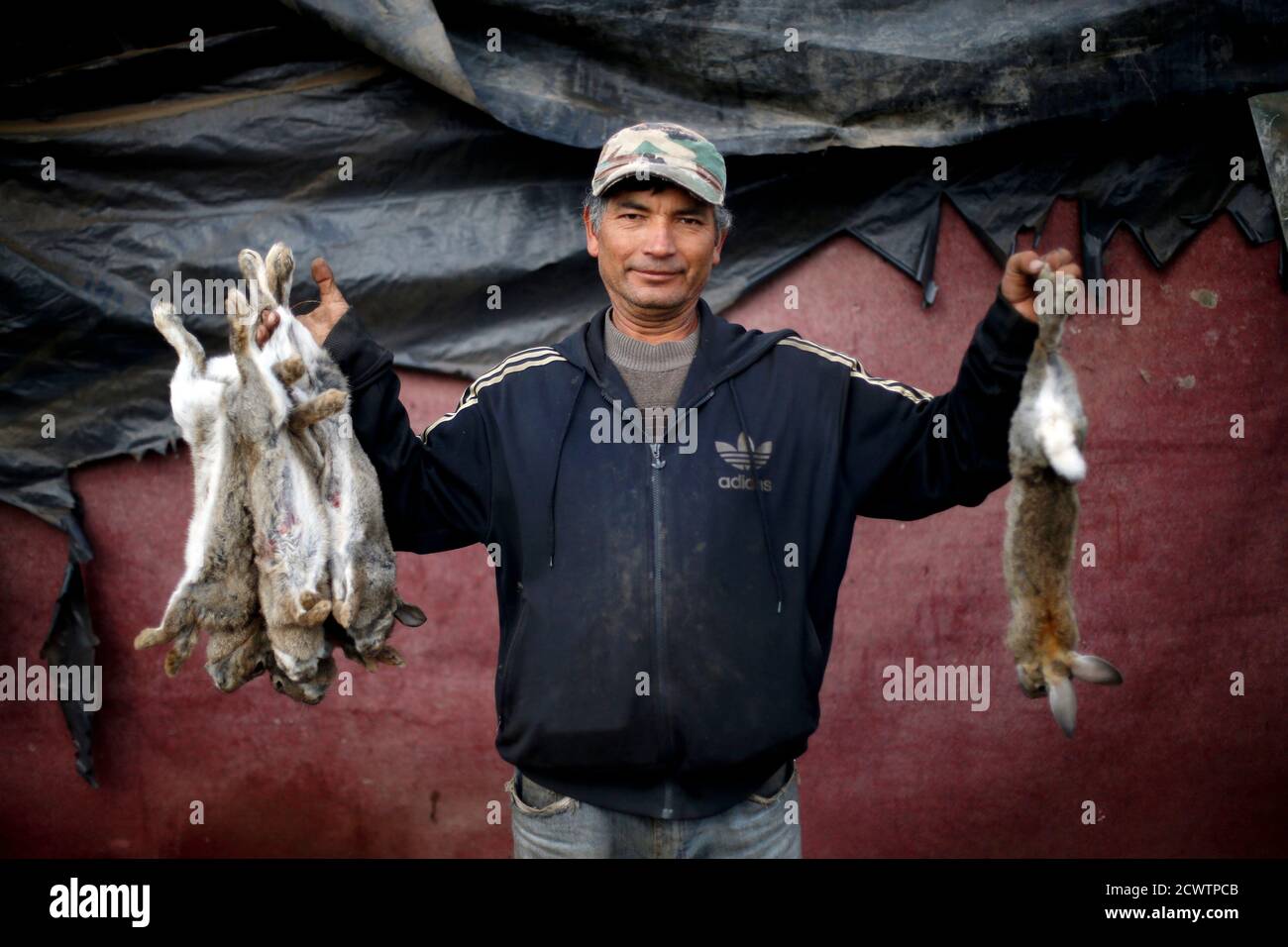 Rabbit hunter Patricio poses for a picture with rabbit caught after a  workday at the countryside near Santiago city, March 15, 2014. Rabbit  hunters catch rabbits every morning using lasso traps which