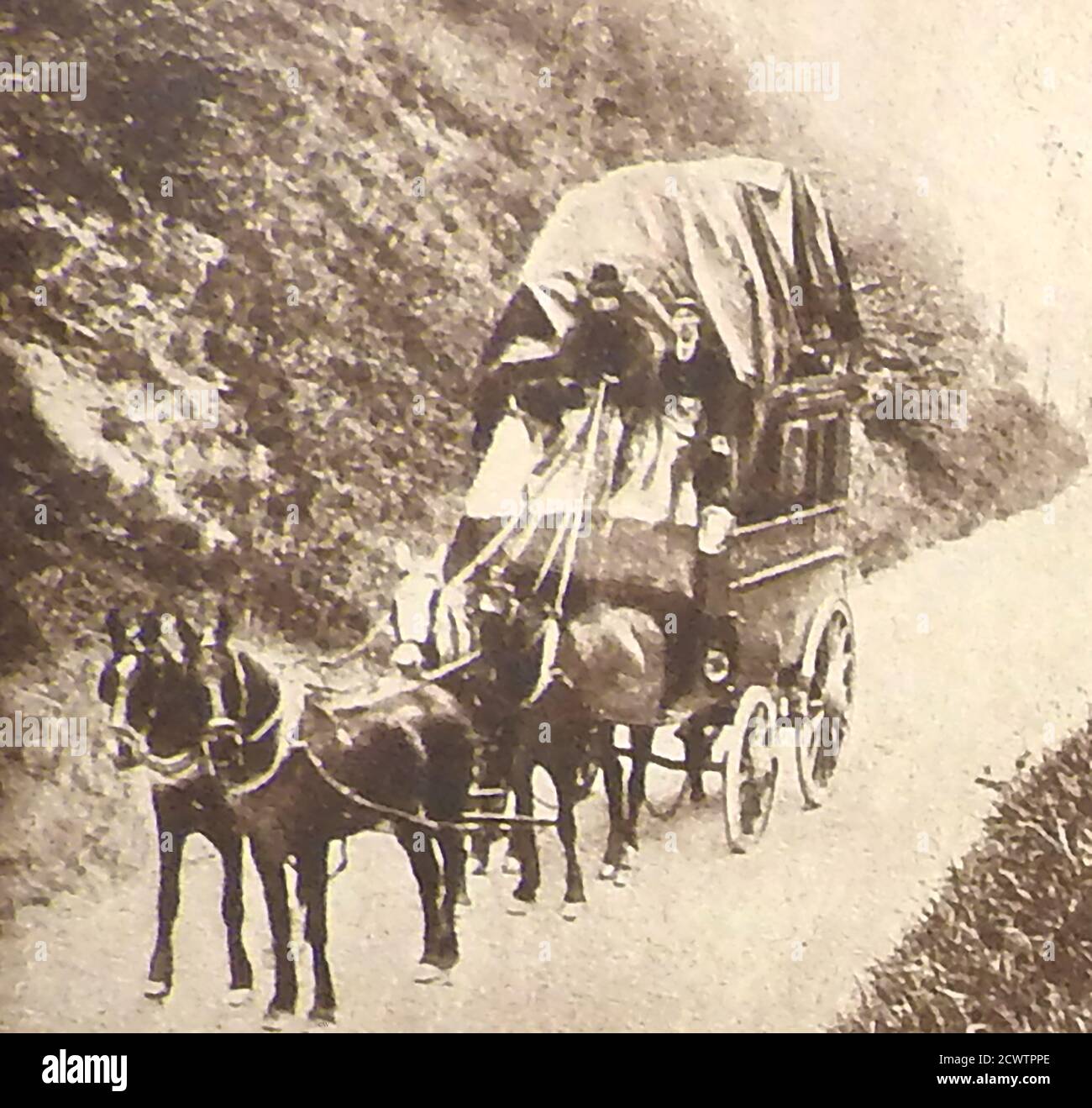 The last UK Royal Mail parcel post   horse-drawn coach journey at Clayton Hill, West Sussex  between London & Brighton on June 1st 1905. Legends of buried Golden Calves are quite popular in West Sussex. There are supposedly two buried in hillforts at Trundle and Highdown Hill and another on Clayton Hill .This job was often farmed to contractors rather than being carried out by Post Office Employees and individual parcels would be packed in wicker hampers before being loaded on the coach whose safety and security was ensured by the carrying an armed guard, . Stock Photo