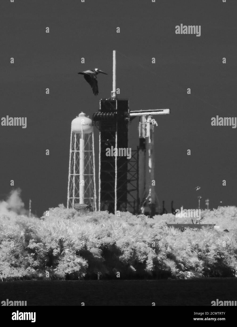On May 22, 2020, SpaceX conducted a static fire test of the Falcon 9 ...