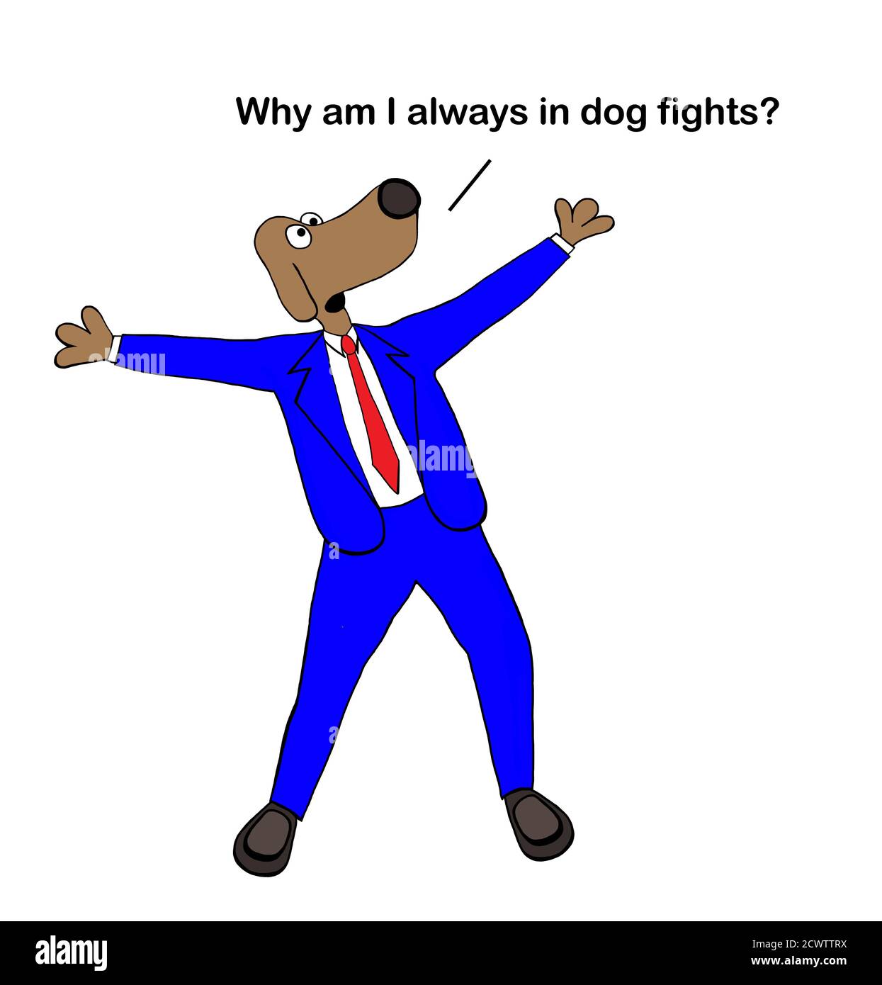 Color cartoon of a dog wearing a suit and shouting out why am I always in dog fights? Stock Photo