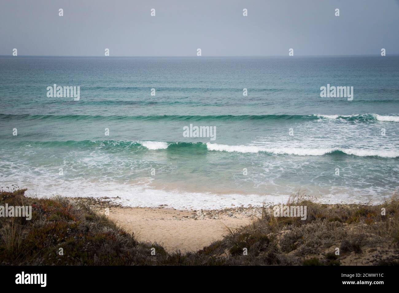 Sea landscape of waves coming ashore on the beach, dune landscape on foggy day Stock Photo