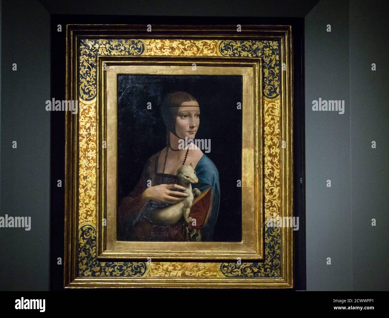 La dama del armiño (La dama con l'ermellino) cuadro del pintor renacentista italiano Leonardo da Vinci,l óleo sobre tabla, 54,8 cm. de alto y 40,3 cm Stock Photo