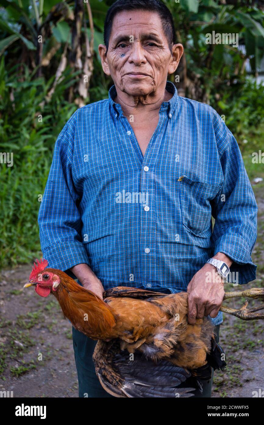 Hombre con una gallina, Lancetillo, La Parroquia, zona Reyna, Quiche, Guatemala, Central America Stock Photo