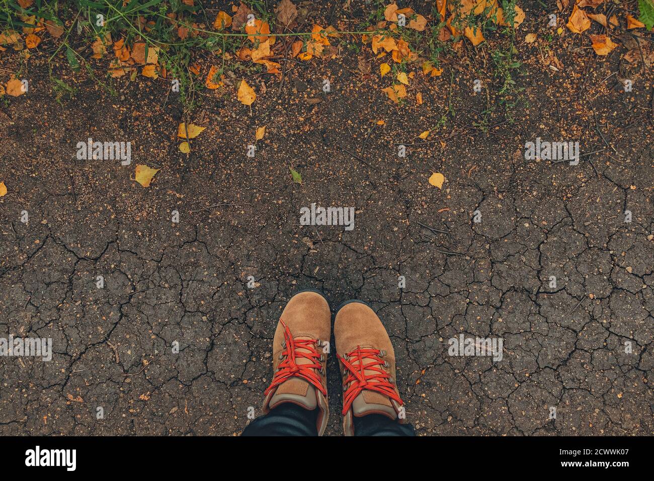 Casual unisex boots with bright laces and colorful autumn fallen leaves. Autumn fall scene. Conceptual image of legs in boots on dry earth and autumn leaves. Lifestyle Fashion trendy style. Top view. Copy space. Stock Photo