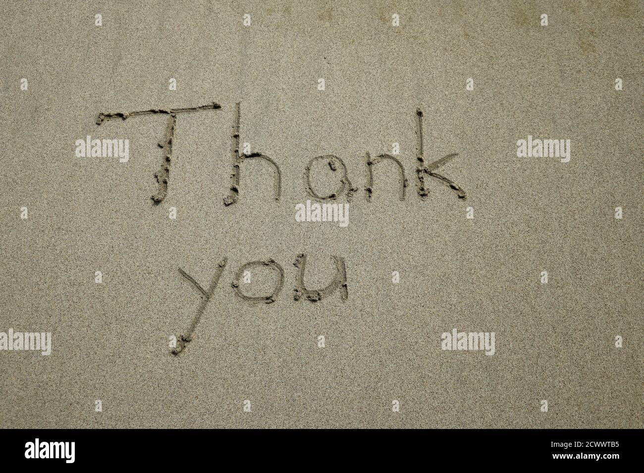 thank you, gratitude concept, word written on sand beach Stock Photo ...
