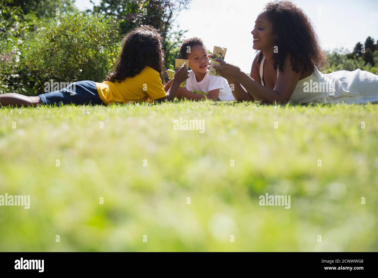 Happy mother and children drinking juice boxes in sunny summer grass Stock Photo