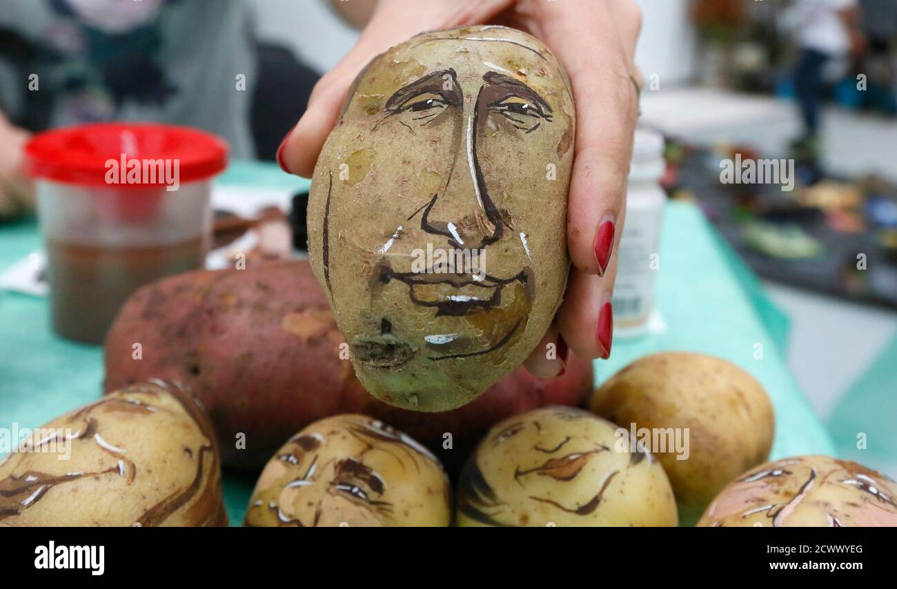 Russian cartoon artist Daria Chebunina shows a potato displaying the image  of Russia's President Vladimir Putin