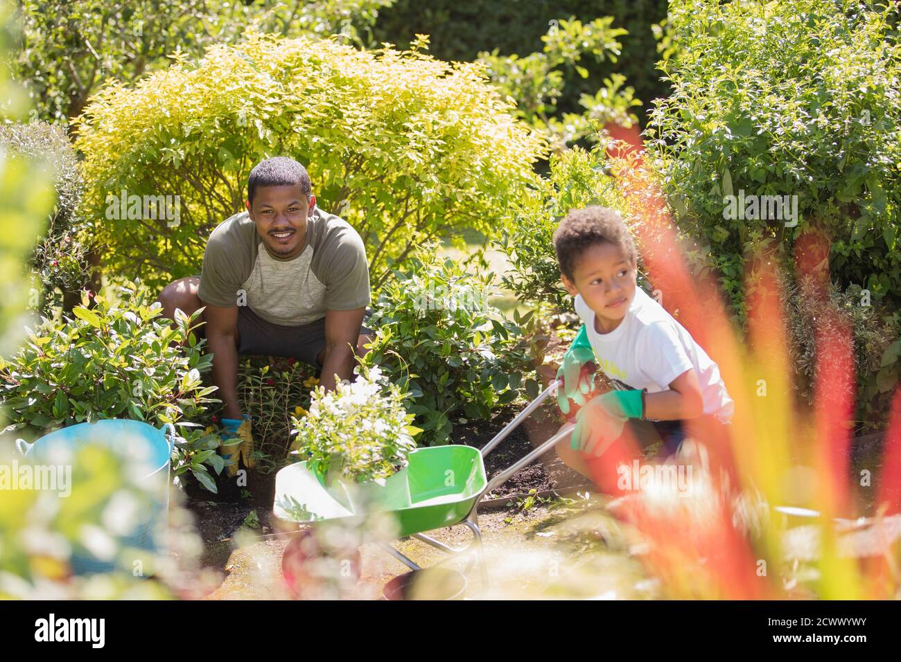 Father and son gardening in sunny summer garden Stock Photo