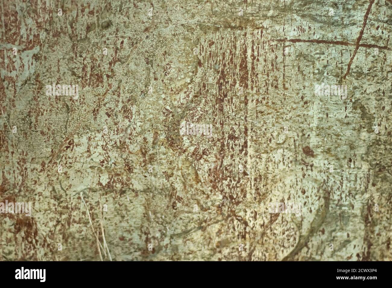 old rusty metal texture abstraction Stock Photo