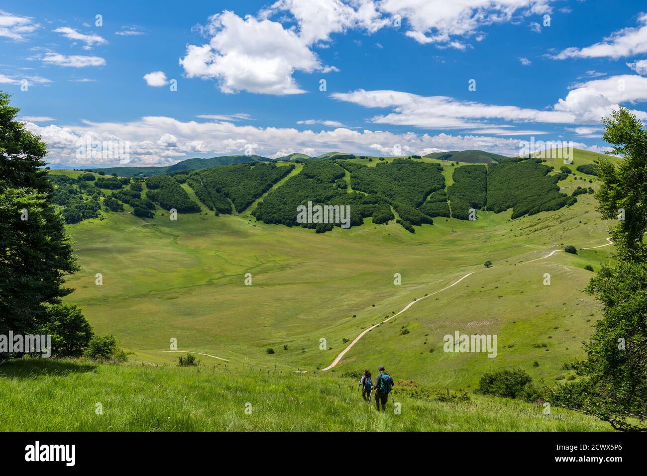 Escursione M.te Guaidone - M.te Cardosa, anticipazioni da Castelluccio. Macchia Cavaliera Stock Photo