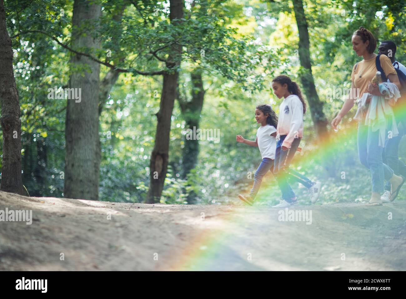 Family hiking in summer woods Stock Photo