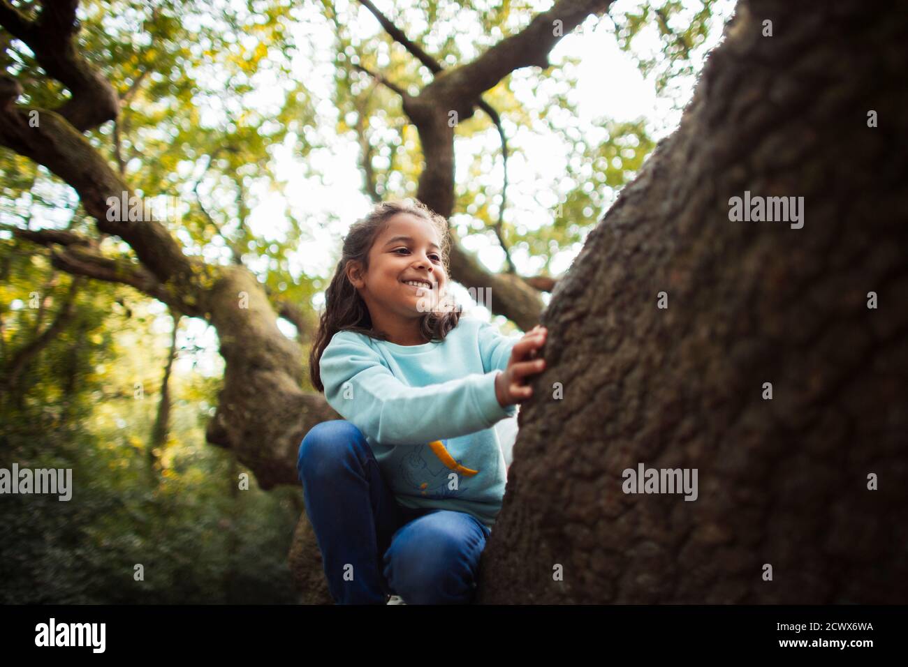 Happy girl climbing tree Stock Photo