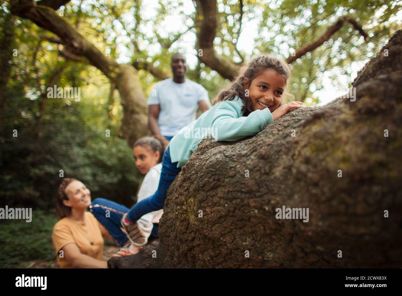 Happy family climbing tree in woods Stock Photo