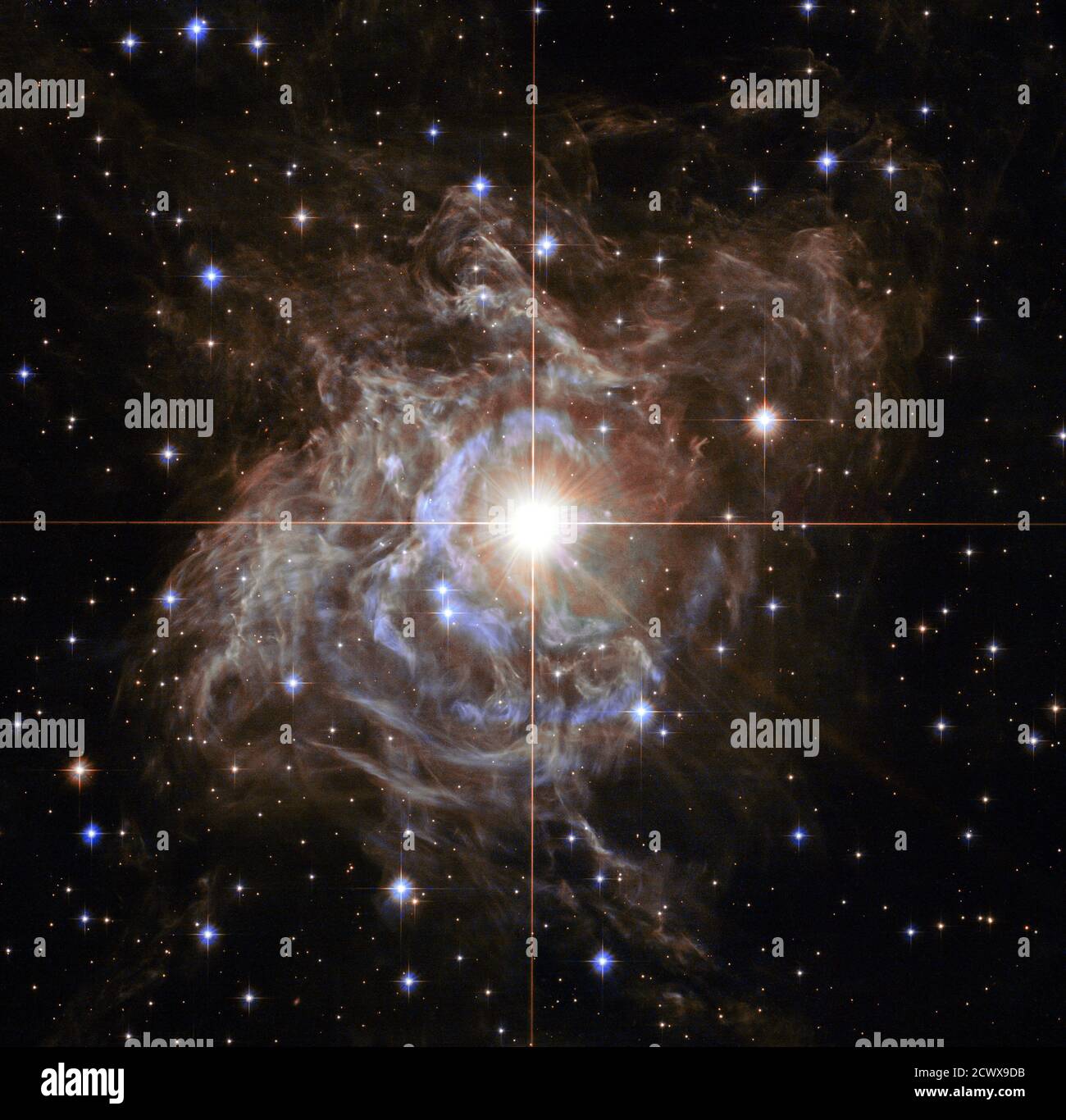 Hubble’s Cosmic Holiday Wreath Like a bright ornament in a holiday wreath, this bright star decorates its surrounding nebula with waves of light. This image from NASA's Hubble Space Telescope shows RS Puppis, a Cepheid variable star which rhythmically brightens and dims over a six-week cycle. Its average intrinsic brightness is 15,000 times greater than the Sun's luminosity.  The nebula flickers in brightness as pulses of light from the Cepheid propagate outwards. Hubble took a series of photos of light flashes rippling across the nebula in a phenomenon known as a 'light echo.' Even though lig Stock Photo