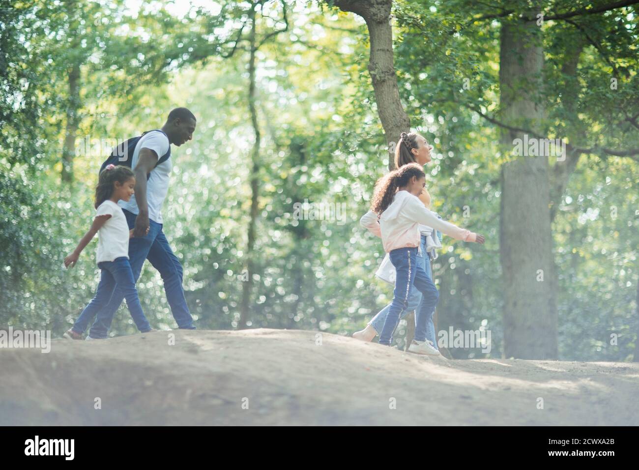 Family hiking in sunny summer woods Stock Photo