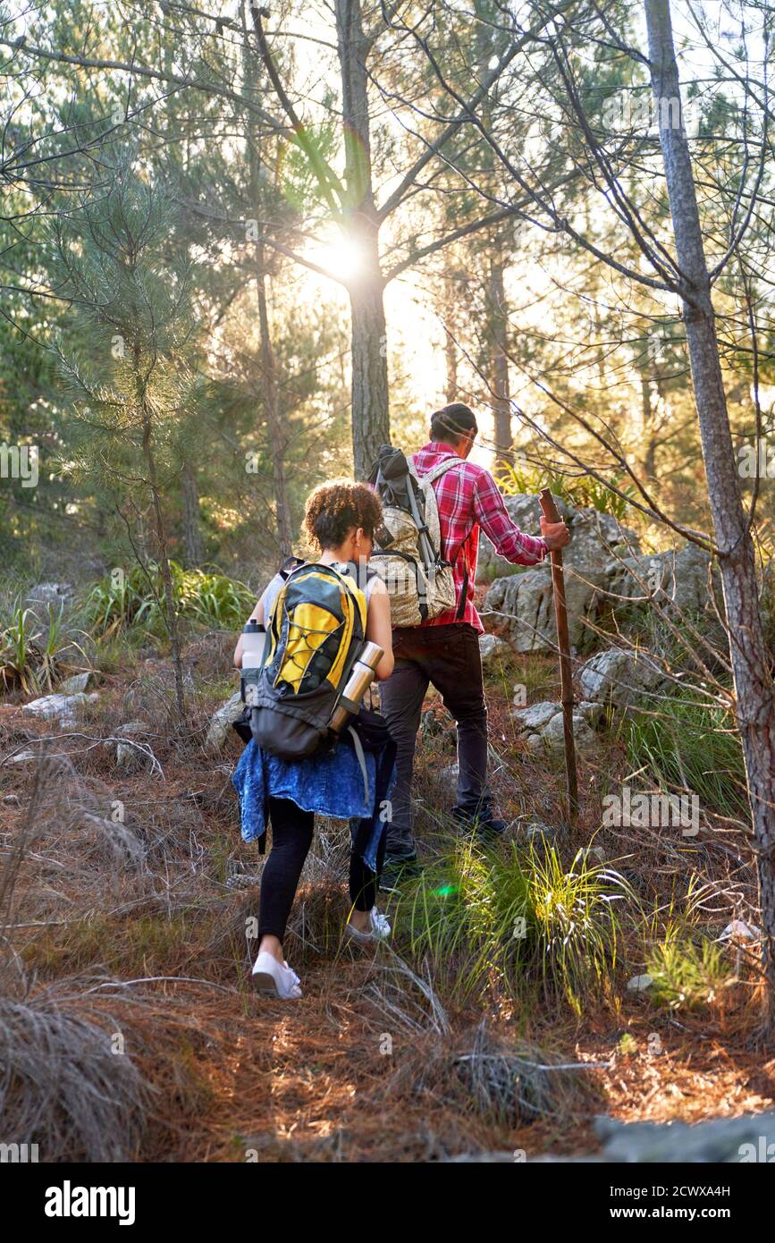 Young couple with backpacks hiking in sunny woods Stock Photo