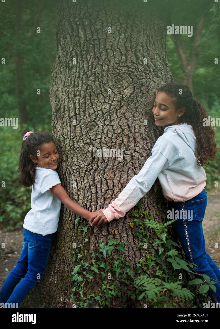 Happy sisters holding hands and hugging tree trunk in woods Stock Photo