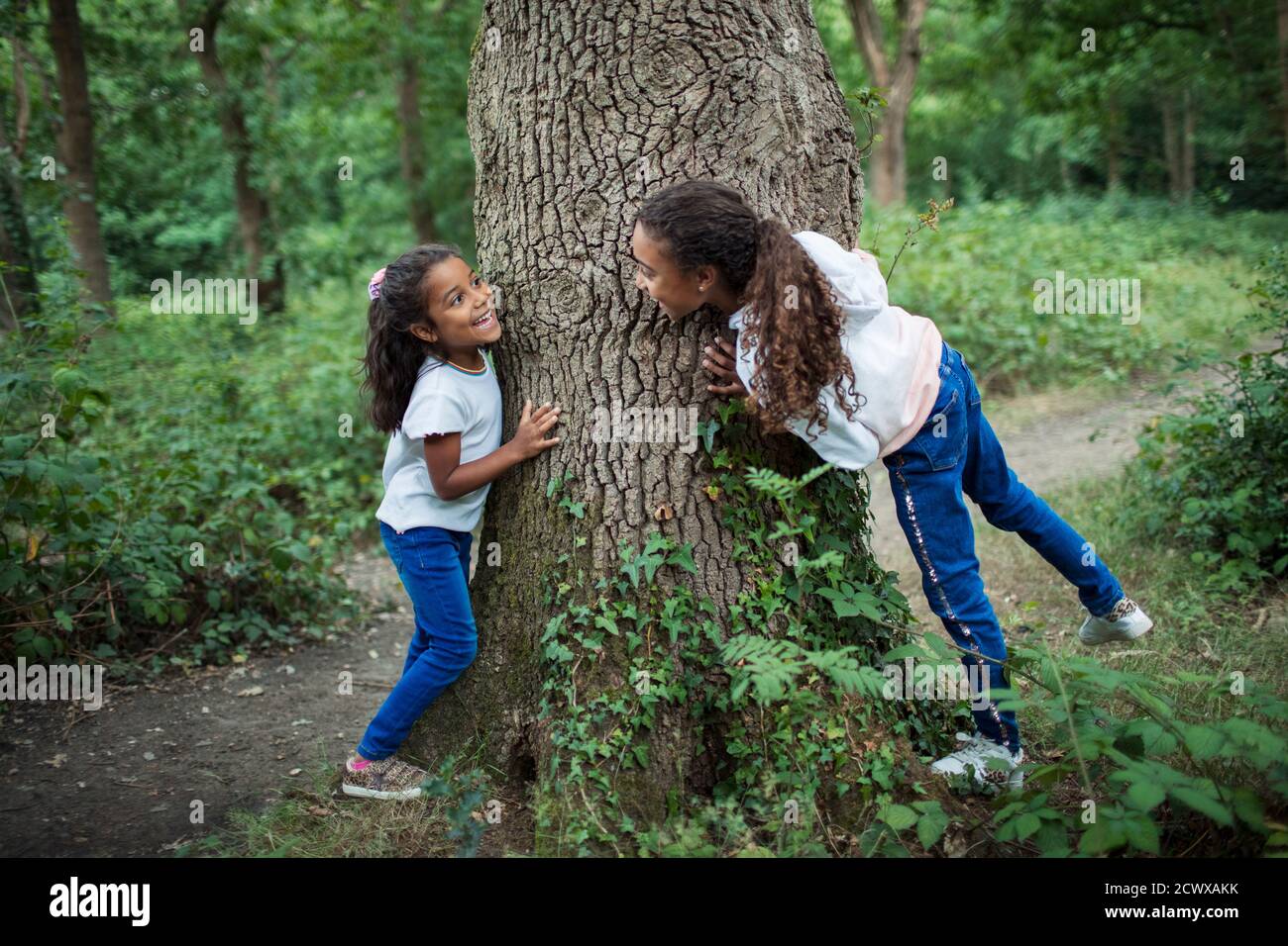 Cute sisters playing at tree trunk in woods Stock Photo