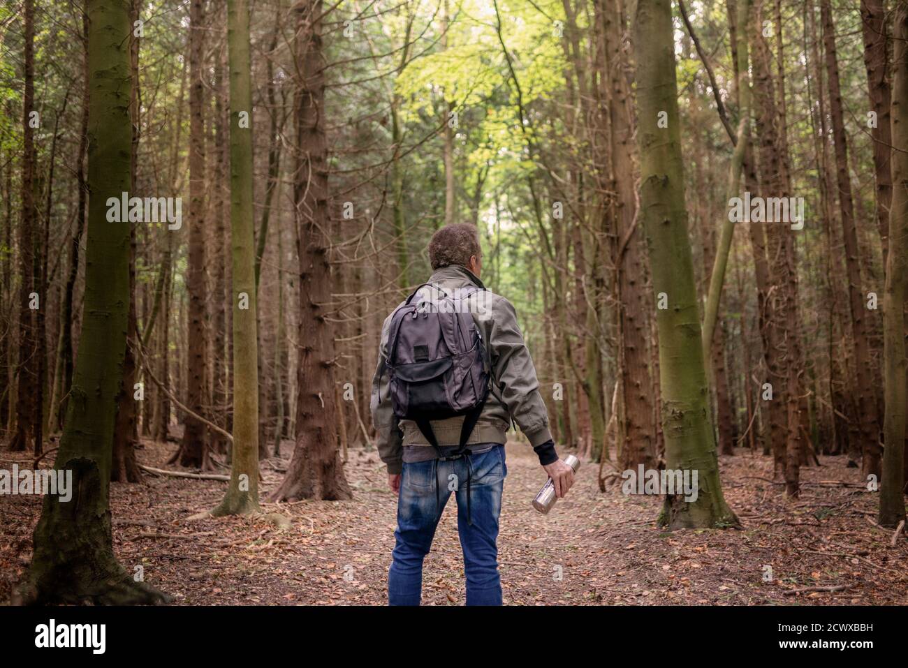 man with a backpack walking through a forest holding a metal drinks flask, back view. Stock Photo