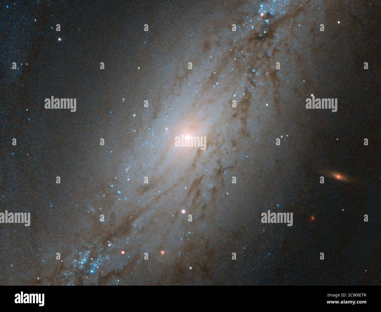 Ngc 2608 Galaxy - Pdf Photometric Investigations Of Peculiar Spiral Galaxy Ngc 2608 Using Multiband Ccd Camera Semantic Scholar
