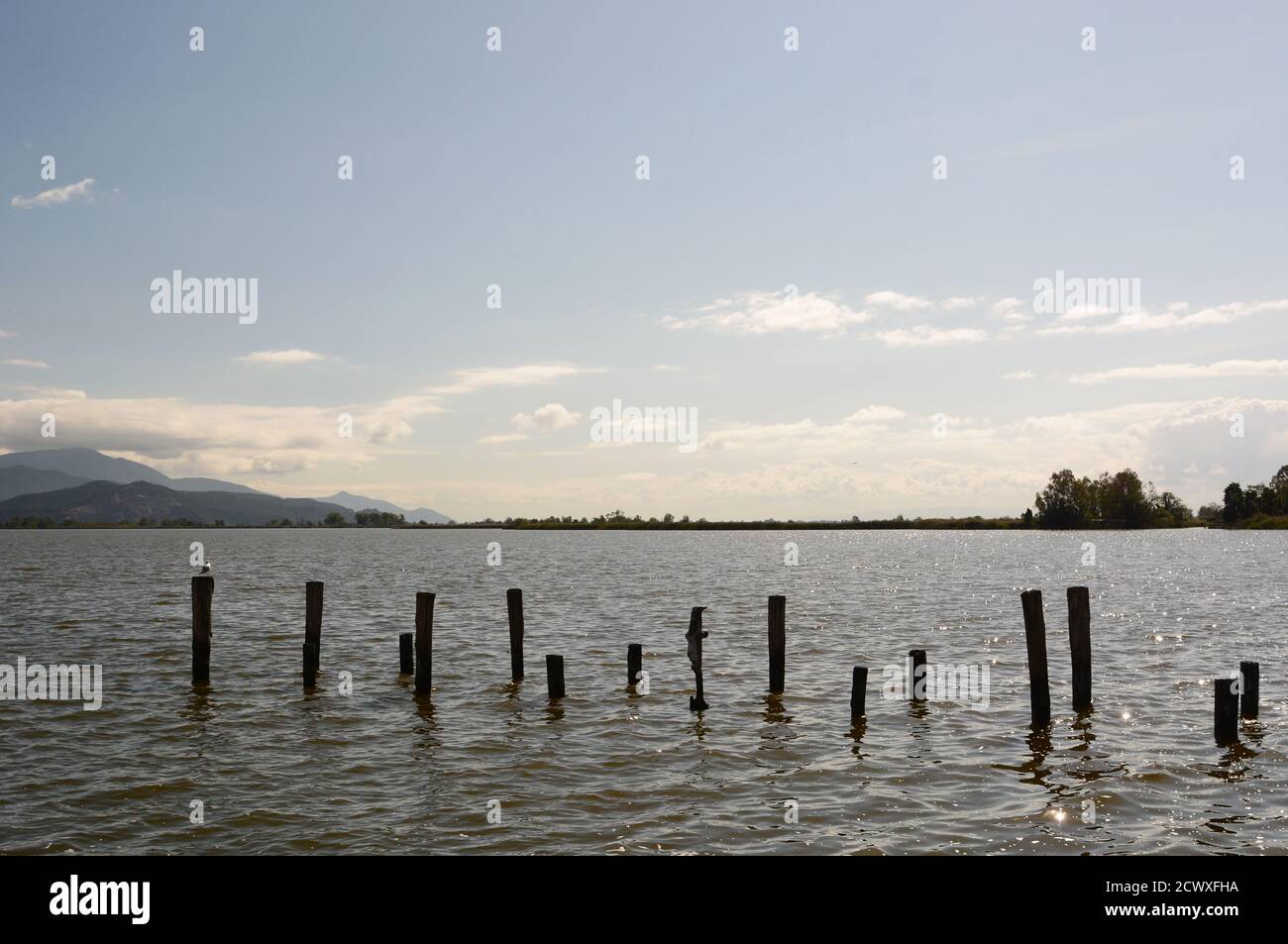 Massaciuccoli lake torre del lago hi-res stock photography and images ...