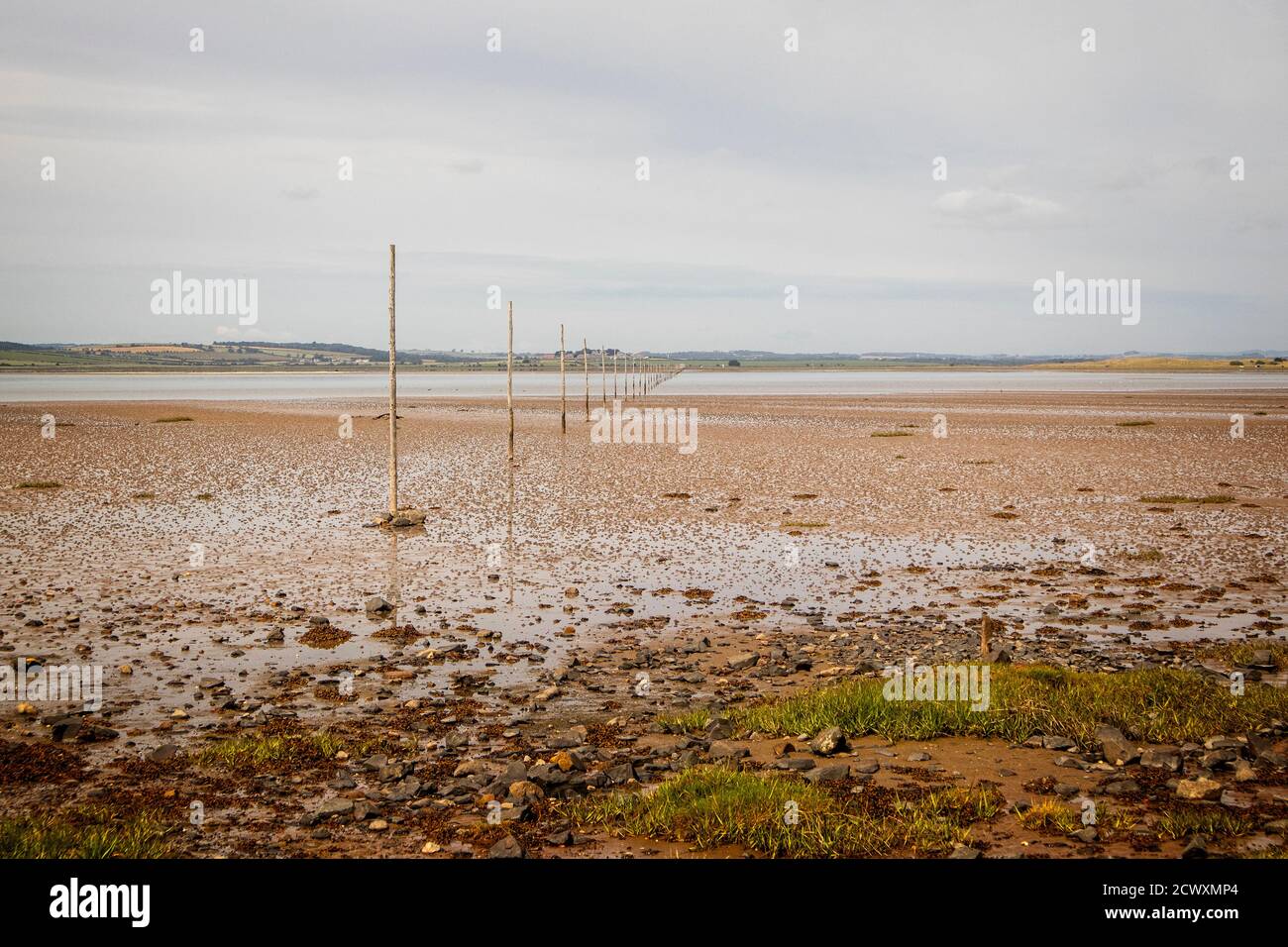 Posts marking the Pilgrims St Cuthbert's Way to Holy Island Stock Photo